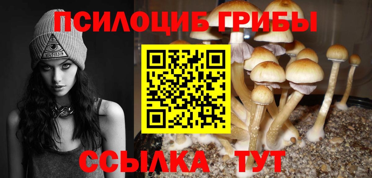 Псилоцибиновые грибы прущие грибы  Галлюциногенные грибы Psilocybine cubensis  Дзержинск  Вход с VPN 